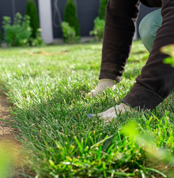 a little girl that is standing in the grass